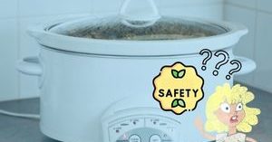 Is It Safe to Leave Food in a Crock Pot Overnight?
