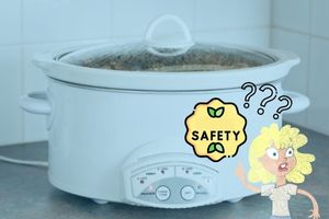 is it okay to leave food in slow cooker overnight